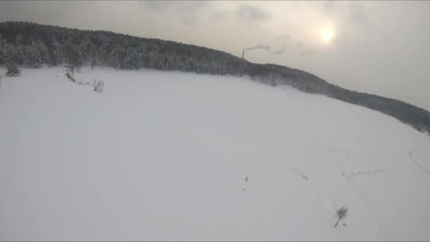 Fpv Drone Let Zasněženém Lese Blízkosti Ledového Jezera Bílé Borovice — Stock video