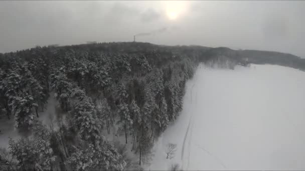 氷の湖の近くの雪に覆われた森の中のFpvドローン飛行 白い松の木 美しい景色 厳しい寒さの冬 クワッドコプター — ストック動画