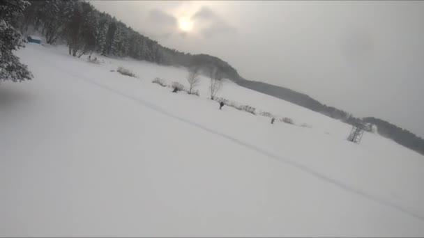 Fpv Drone Flygning Snöig Skog Nära Isig Sjö Vita Tallar — Stockvideo