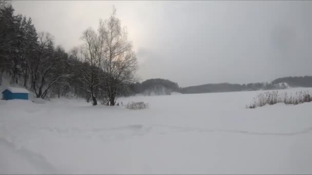 Fpv Drone Flygning Snöig Skog Nära Isig Sjö Vita Tallar — Stockvideo
