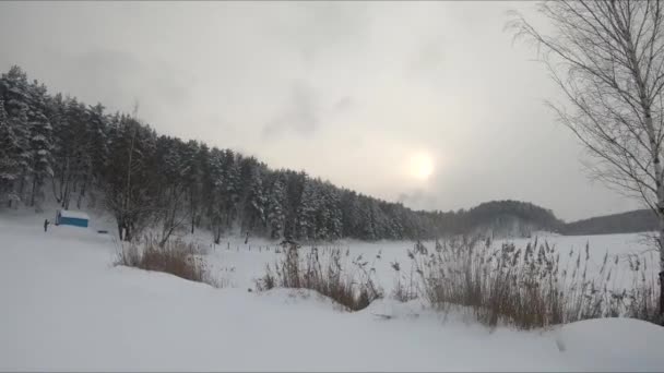 Voo Drone Fpv Uma Floresta Nevada Perto Lago Gelado Pinheiros — Vídeo de Stock