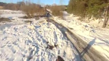 fpv insansız hava aracı kış ormanlarında gün batımında, yeşil köknar ağaçları, beyaz kar