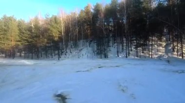 fpv insansız hava aracı kış ormanlarında gün batımında, yeşil köknar ağaçları, beyaz kar