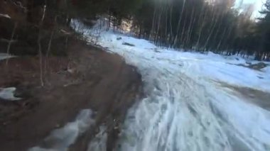fpv drone flight in the winter forest at sunset, green fir trees, white snow