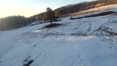 fpv insansız hava aracı kış ormanlarında gün batımında, yeşil köknar ağaçları, beyaz kar