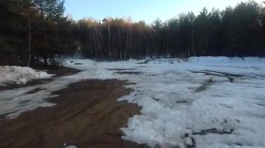 fpv insansız hava aracı kış ormanlarında gün batımında, yeşil köknar ağaçları, beyaz kar