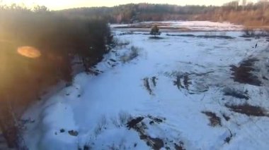 fpv insansız hava aracı kış ormanlarında gün batımında, yeşil köknar ağaçları, beyaz kar