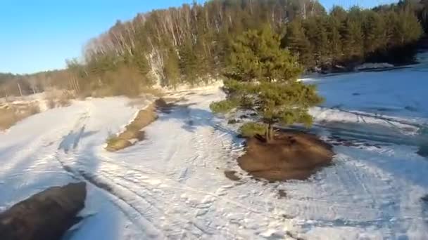 Fpv Drone Volo Nella Foresta Invernale Tramonto Abeti Verdi Neve — Video Stock