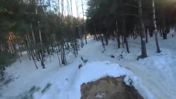Fpv Drone Lot Zimowym Lesie Zachodzie Słońca Zielone Jodły Biały — Wideo stockowe