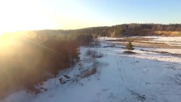 Fpv Drone Flight Winter Forest Sunset Green Fir Trees White — Stockvideo