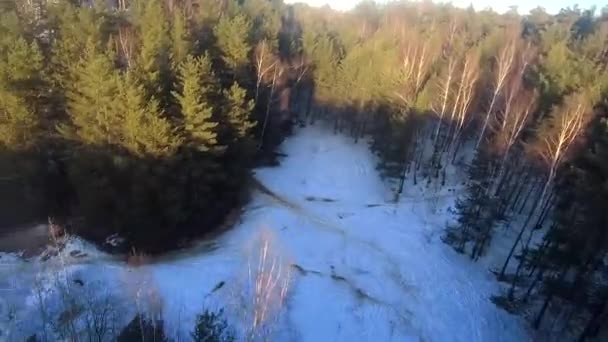 Fpv Drón Repülés Téli Erdőben Naplementekor Zöld Fenyő Fák Fehér — Stock videók