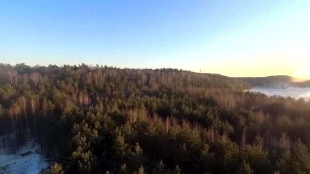 Fpv Drone Flight Winter Forest Sunset Green Fir Trees White — Stok video