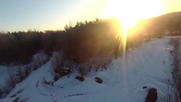 Fpv Drone Flight Winter Forest Sunset Green Fir Trees White — Stockvideo