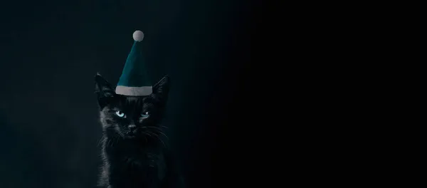 Preto Gato Papai Noel Chapéu Sobre Fundo Escuro Layout Panorâmico — Fotografia de Stock