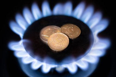 Avro sentlerle doğalgaz yakma, fiyat azaltma kavramı