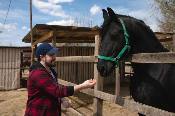 smiling man feeding a horse