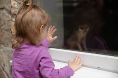 little girl looking at meerkat