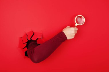 Kırmızı arkaplan üzerinde el ele büyüteç, arama konsepti