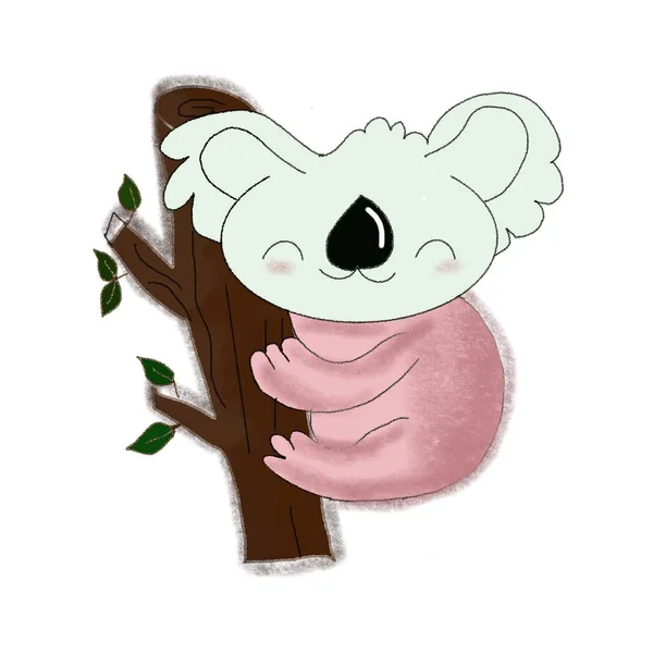 Cute Koala Wspinaczka Drzewo — Zdjęcie stockowe