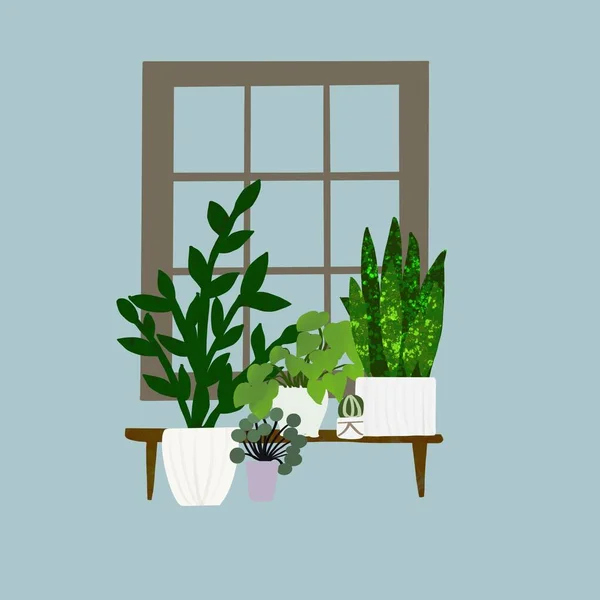 Illustration Ornamental Plants Window Can Used Decoration Background Something Else — Stockfoto