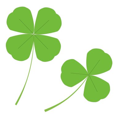 Üç yapraklı yonca ve dört yapraklı yonca vektör resim çizimi