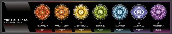 Chakra symbols set with affirmations for each chakra center. This Poster will charge your space with positive energy and healing vibes. Perfect for kinesiology practitioners, massage therapists, reiki healers, yoga studios or your meditation space.