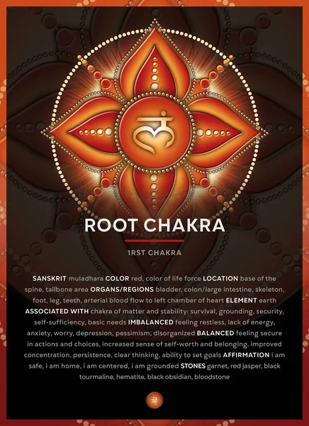 Root Chakra Symbol Chakra Muladhara Banner Poster Cards Infographic Description — 스톡 사진