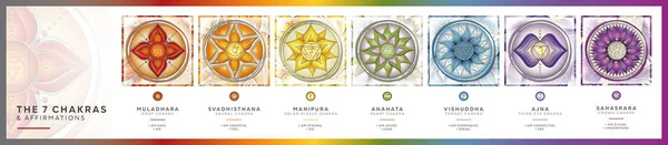 Chakra symbols set with affirmations for each chakra center. This Poster will charge your space with positive energy and healing vibes. Perfect for kinesiology practitioners, massage therapists, reiki healers, yoga studios or your meditation space.