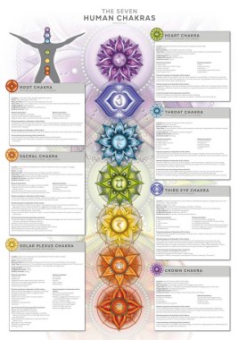 Güçlü 7 Çakra - Detaylı tanımlama, özellikler ve özellikler içeren bilgi posteri / duvar kağıdı. Kineziyoloji uzmanları, masaj terapistleri, reiki şifacılar, yoga stüdyoları vs. için mükemmel..