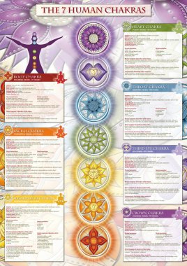 Güçlü 7 Çakra - Detaylı tanımlama, özellikler ve özellikler içeren bilgi posteri / duvar kağıdı. Kineziyoloji uzmanları, masaj terapistleri, reiki şifacılar, yoga stüdyoları vs. için mükemmel..