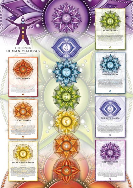 Powerful 7 Chakra - Infographic poster/wallpaper including detailed description, characteristics and features. Perfect for kinesiology practitioners, massage therapists, reiki healers, yoga studios etc.