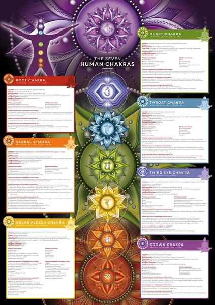 Potente Chakra Infografía Póster Fondo Pantalla Que Incluye Descripción Detallada — Foto de Stock