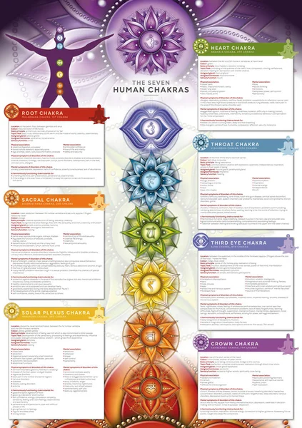 Krachtige Chakra Infographic Poster Wallpaper Inclusief Gedetailleerde Beschrijving Kenmerken Kenmerken — Stockfoto