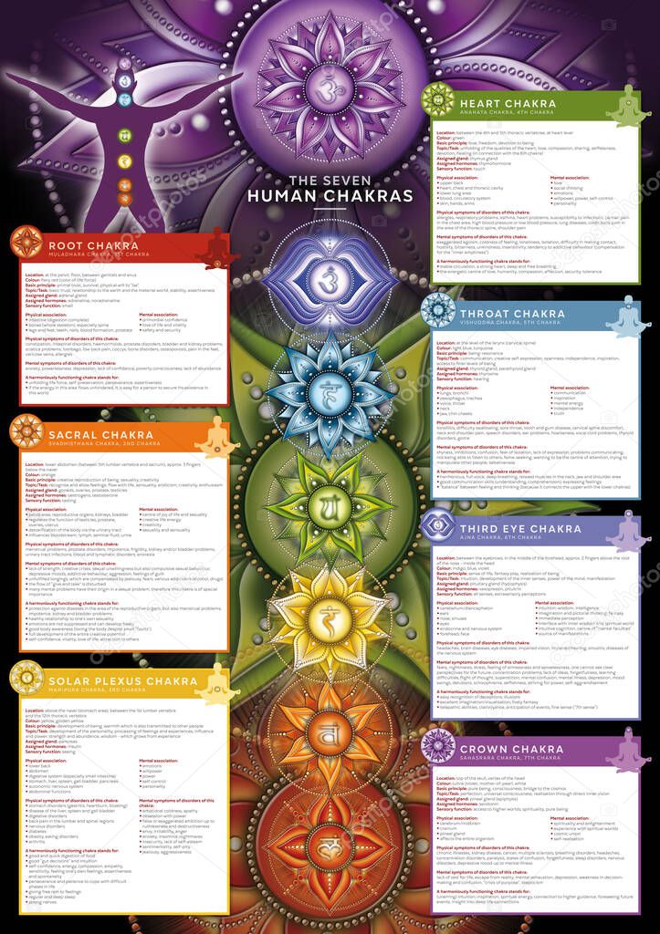 Powerful 7 Chakra - Infographic poster/wallpaper including detailed description, characteristics and features. Perfect for kinesiology practitioners, massage therapists, reiki healers, yoga studios etc.