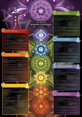 Güçlü 7 Çakra - Detaylı tanımlama, özellikler ve özellikler içeren bilgi posteri / duvar kağıdı. Kineziyoloji uzmanları, masaj terapistleri, reiki şifacılar, yoga stüdyoları vs. için mükemmel..