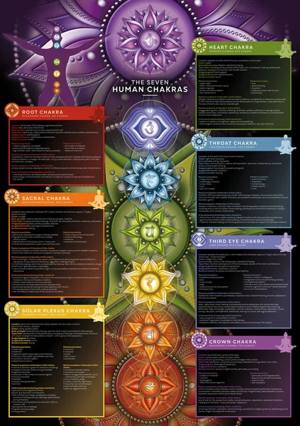 Potente Chakra Infografía Póster Fondo Pantalla Que Incluye Descripción Detallada — Foto de Stock