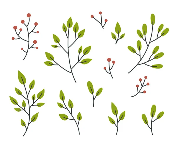 Цветочный Набор Простых Каракулей Листьями Ягодами Коллекция Элементов Растений — стоковый вектор