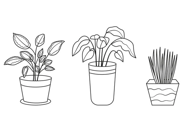 Set Potted Plants Collection House Plants Pots Planters Linear Drawing — Stockvektor