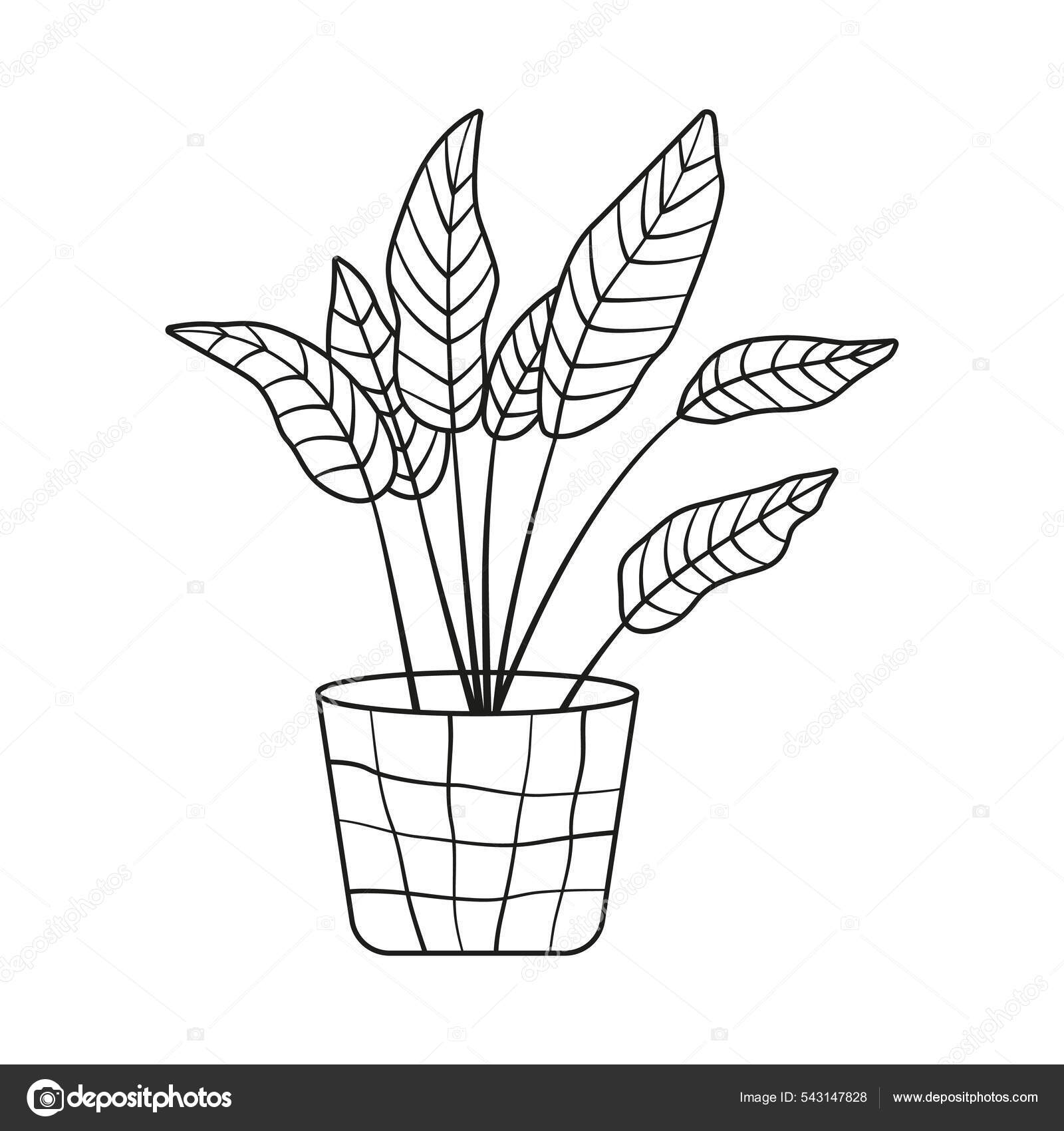 Potteblad Tegneserietegning Diverse Tegneserier