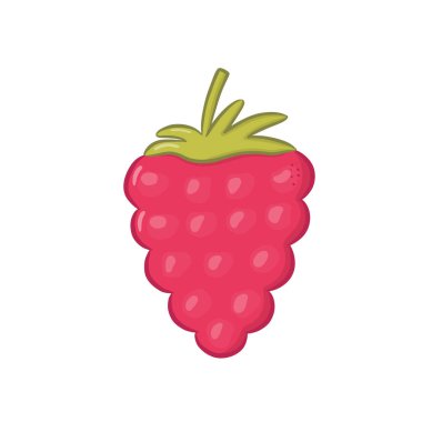 Beyaz arka planda izole edilmiş renkli ahududu. Sağlıklı bir tatlı. Vektör illüstrasyonu