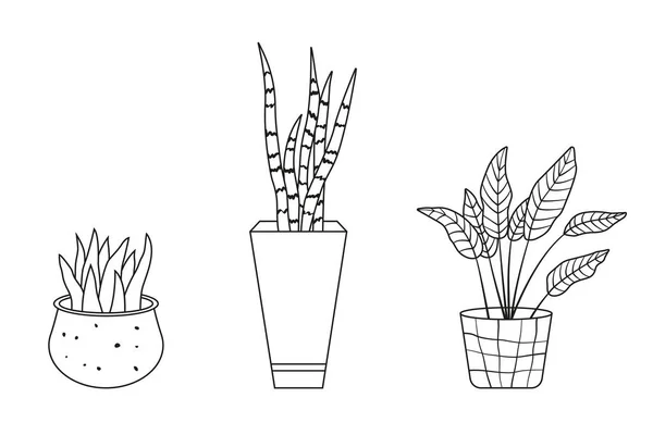 Set Piante Domestiche Collezione Piante Vaso Stile Disegno Lineare Illustrazione — Vettoriale Stock