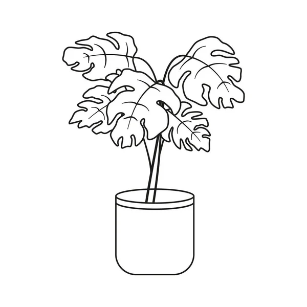 Цветок Монстера Кастрюле Растение Черно Белом Стиле Рисования Линий Векторная — стоковый вектор