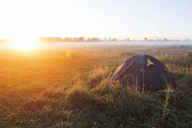 Sabah, nehrin kıyısında çimenlerin üzerinde örümcek ağları olan bir arazide sis.