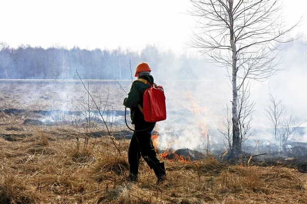 Tarladaki bir itfaiyeci yangını suyla söndürüyor.