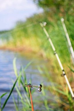 Sessiz ve sağır kamışlarla ıssız bir gölde ya da nehirde oltayla balık tutmak