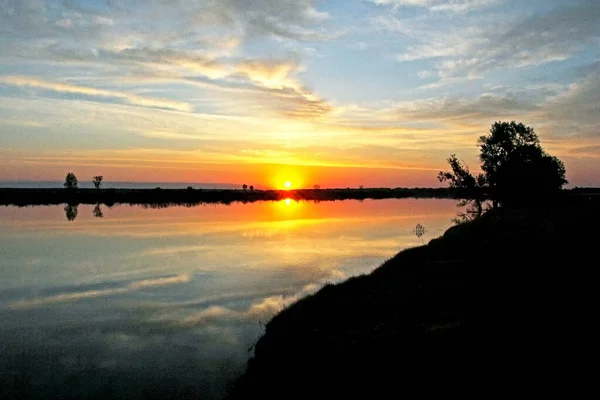 背が高く孤独な松の木が夕日や夜明けに川のそばの畑に美しく立って サークル雲が冠の上を飛ぶ — ストック写真