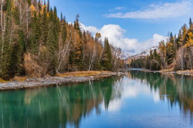 Kanas, Xinjiang, Çin 'deki orman ve nehrin sonbahar manzarası.