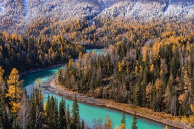 Kanas, Xinjiang, Çin 'deki orman ve nehrin sonbahar manzarası.