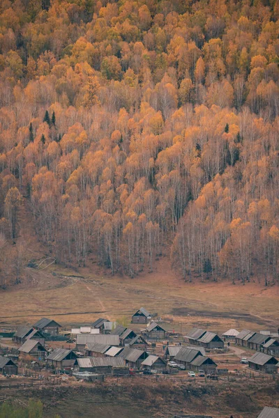 Jesienny Krajobraz Wiosce Hemu Historyczna Wioska Prowincji Xinjiang Chiny — Zdjęcie stockowe