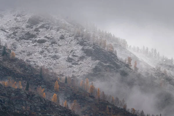 Çin 'in Xinjiang eyaletinin tarihi bir köyü olan Hemu köyünde sonbahar manzarası.